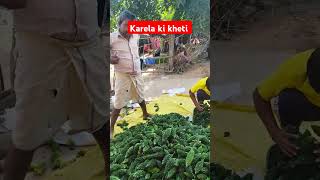 Karela ki packing subscribe [upl. by Salvador22]