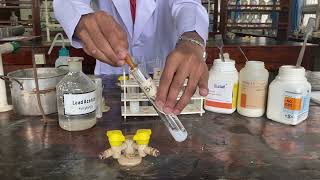 🧪 Identify the halide ions with Lead acitate test chemistry [upl. by Ajet]