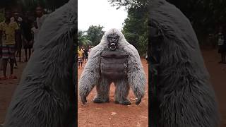 Igbo Tribe in Nigeria africa igbo gorilla [upl. by Oitaroh]