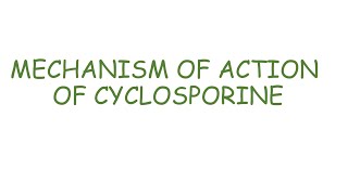 Cyclosporine mechanism of action [upl. by Nylzzaj]