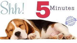 Sound To Make Your Dog Sleep within 5 Minutes  Dog Hypnosis [upl. by Rafaello350]