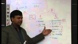 Sympathetic alpha and beta receptors and their functions [upl. by Guthry65]