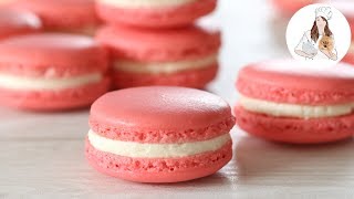 How to make Macarons  Perfect Macaron Recipe [upl. by Jaymie]