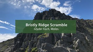 Bristly Ridge Scramble via Sinister Gully Grade 1  Glyder Fach Wales [upl. by Orr]