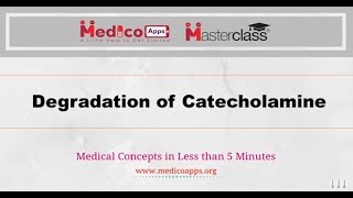 Degradation of Catecholamine [upl. by Aihseyk]