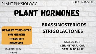 Brassinosteriods and Strigolactones  Intro Signalling Transport Functions  CSIRNET JRF  GATE [upl. by Younger127]