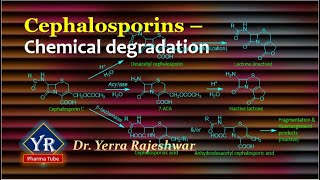 Cephalosporins  Chemical degradation  Chemical degradation of Cephalosporins  YR Pharma Tube [upl. by Bast973]