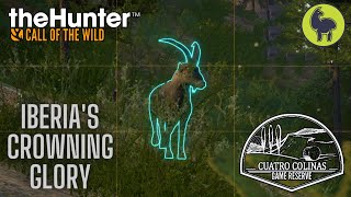 Iberias Crowning Glory Cuatro Colinas  theHunter Call of the Wild PS5 4K [upl. by Leid]