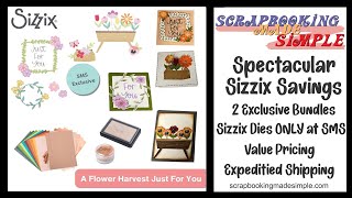 Spectacular Sizzix Savings Event for November Exclusive Dies Value Pricing Stunning Sizzix Makes [upl. by Kalil]