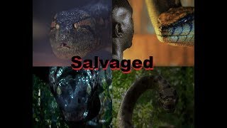 Tribute a Anaconda la Saga Salvaged music video [upl. by Pedaias]