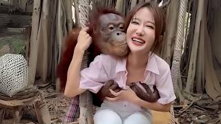 How Smart Are Orangutans [upl. by Egwan299]