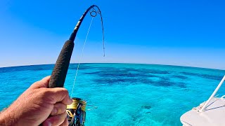 Fishing Crystal Clear Water In Paradise [upl. by Anar]