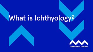 What is Ichthyology [upl. by Assenov]