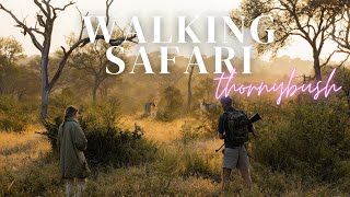 We went on a Walking Safari and had a wild animal encounter [upl. by Lussi173]