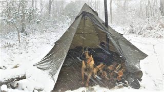 2 DAY Solo Winter Camping in Blizzard Snow Survival in Snow Forest SubZero Extreme Windstorm [upl. by Liagiba863]