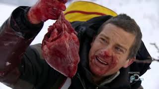 Bear Grylls Eats  Man Vs Wild Season 4 Eating Compilation Part 1 [upl. by Adnilak705]