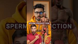 Sperm Factory Male Body Ka Secret Machine 😲  Male Reproductive System Explained in 60 Seconds [upl. by Nitsruk]