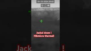 Hikmicro thermal jackal hunt hikmicro [upl. by Thursby118]