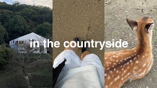 japan vlog naoshima island mount fuji and nara 🦌 [upl. by Ysus]