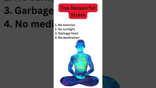 Top Reasons for Stress [upl. by Penoyer]