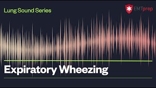 Expiratory Wheezing  EMTprepcom [upl. by Gurtner]