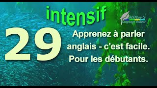 Cours anglais en ligne  Сonversation pour les débutants  beginners Intensif YouTube Leçon 29 [upl. by Rakel]