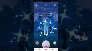 🐺 ✨️😲 ShinyZacian PokemonGo MyPokemonGoLife MyPokemonGoCareer [upl. by Eicul]