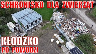 Schronisko dla zwierząt w Kłodzku po powodzi [upl. by Eseekram]