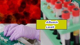 Albumin Levels – High Low Normal Range [upl. by Hgeilyak]