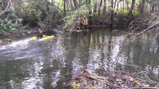 HydroneRCV with HydroLite Echosounder in Thick Canopy Tree Coverage [upl. by Arikahs]