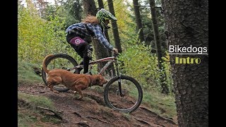 Bikedogs Intro [upl. by Bridgid667]