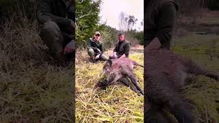 Wildschweinjagd mit dem Revier Manager waldvierteljagd shorts [upl. by Analaj210]