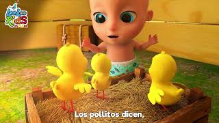 Los Pollitos Dicen Pío Pío  LosPollitos  Canciones Infantiles  Bebés  Divertidas [upl. by Adora]