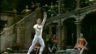 Mikhail Baryshnikov  Don Quijote  ABT 1983 [upl. by Arno765]