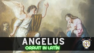 Angelus en Latín y Lorica de San Patricio Domingo [upl. by Gnouc666]