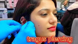 painless nose piercing and tragus piercing  upper lobe piercing  septum piercing  piercing nose [upl. by Lienahs]