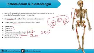 INTRODUCCIÓN A LA ANATOMÍA HUMANA  CLASE 02 [upl. by Rowell]