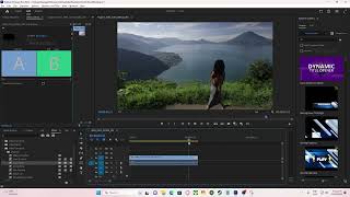 Cómo hacer un fundido a negro en Premiere Pro [upl. by Montford]