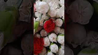 Carnation flower variety cracks white flowers ll status song hindi song WhatsApp status [upl. by Hanan185]