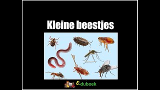 Kleine beestjes inkijkexemplaar groep 34 [upl. by Fiorenza880]