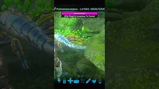 Giant Scorpion Fast Taming Tutorial shorts ark gameplay [upl. by Keeley593]