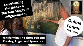 The Four Stages of Enlightenment Transforming The Three Poisons Craving Anger and Ignorance [upl. by Dachy]