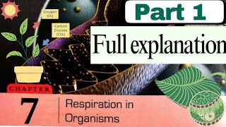 CHAPTER 7 RESPIRATION IN ORGANISMS  CLASS 07 DAV SCIENCE  PART 1 FULL EXPLANATION OF THIS CHAPTER [upl. by Accalia753]