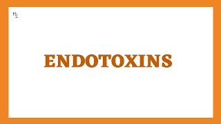 ENDOTOXINS  Bacterial Toxins  What are lipopolysaccharides or LPS [upl. by Way]