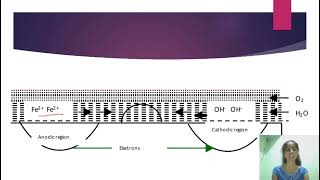 Chemistry  Electrochemical Theory of Corrosion [upl. by Atinniuq88]