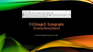 FIJI ImageJ Kymographs Tracking Moving Objects [upl. by Odrahcir]