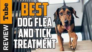 ✅ Flea Treatment Best Dog Flea amp Tick Treatment 2021 Buying Guide [upl. by Airdnaxila]