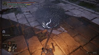 Elden Ring  Mimic Tear Fight Myself NO DAMAGE [upl. by Osner]