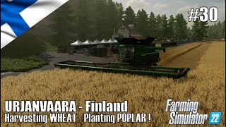 Harvesting WHEAT  Planting POPLAR  30 URJANVAARA  Finland  FS22  PlayStation 5 [upl. by Foy]