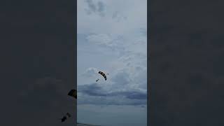 호주 울릉공 스카이다이빙 착륙 Skydiving landing in Wollongong Australia shorts [upl. by Imef]